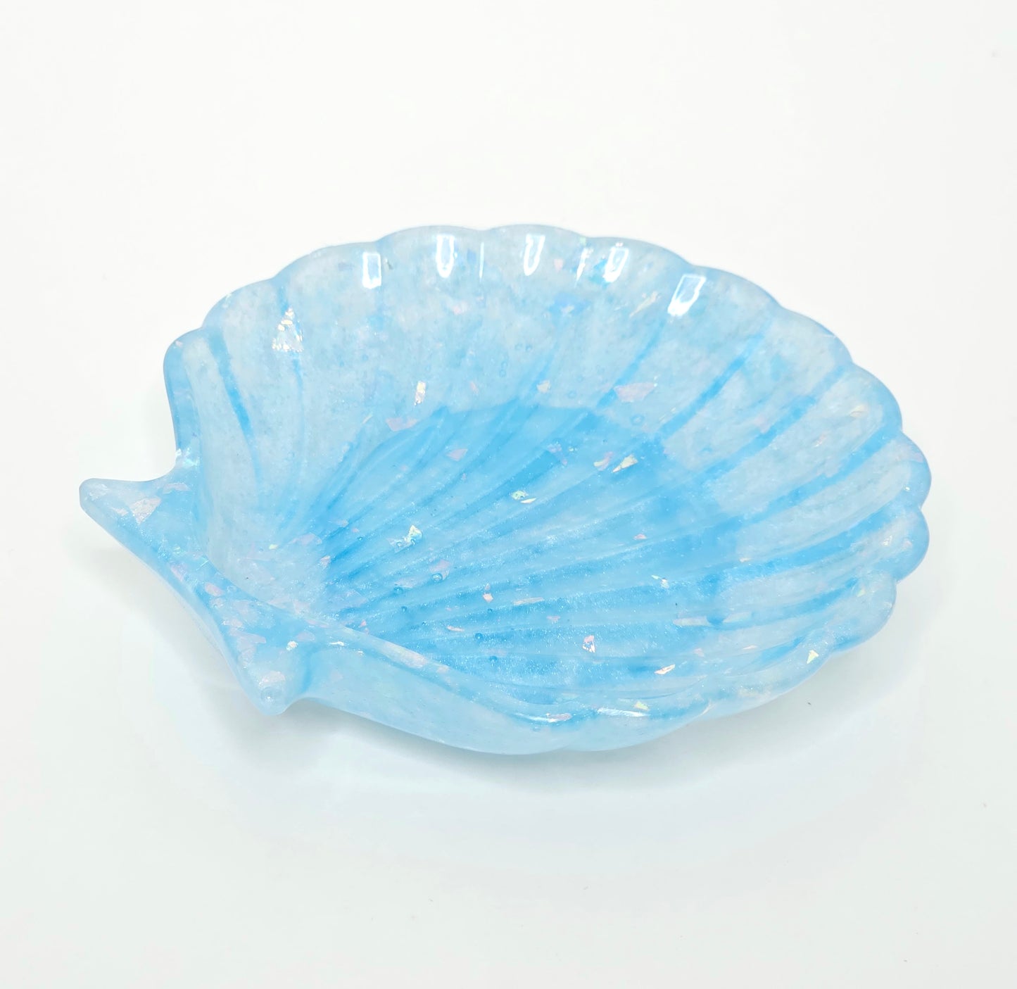 Sea Shell